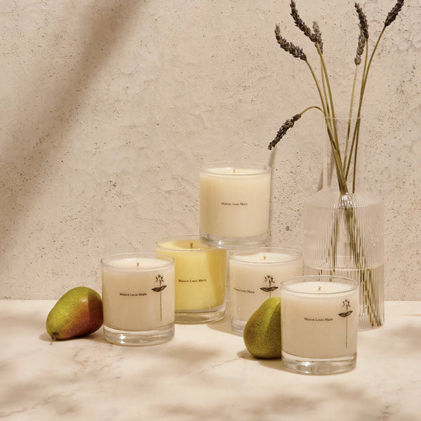 Maison Louis Marie Candle - City Bird