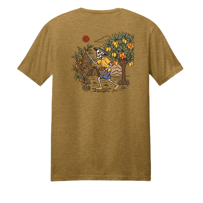 Gold Heather - DM108 - BACK