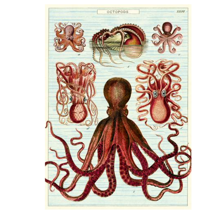 Octopods Poster