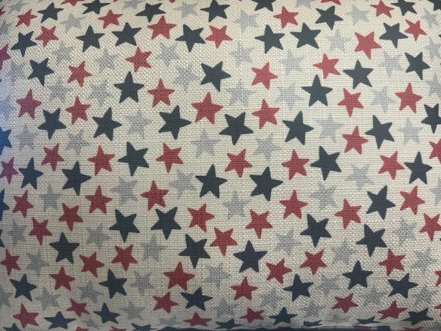 One Nation Under God Pillow