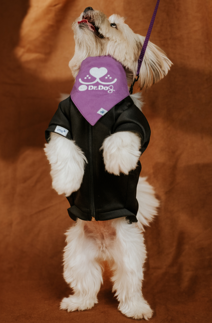 Pet scrub top