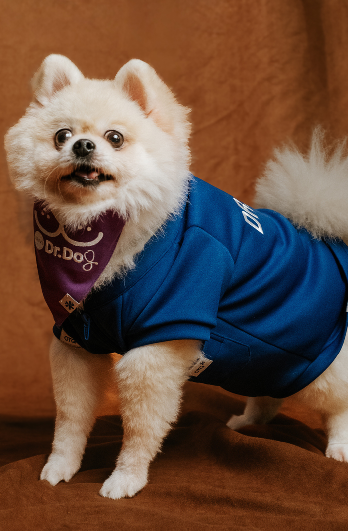 Pet scrub top