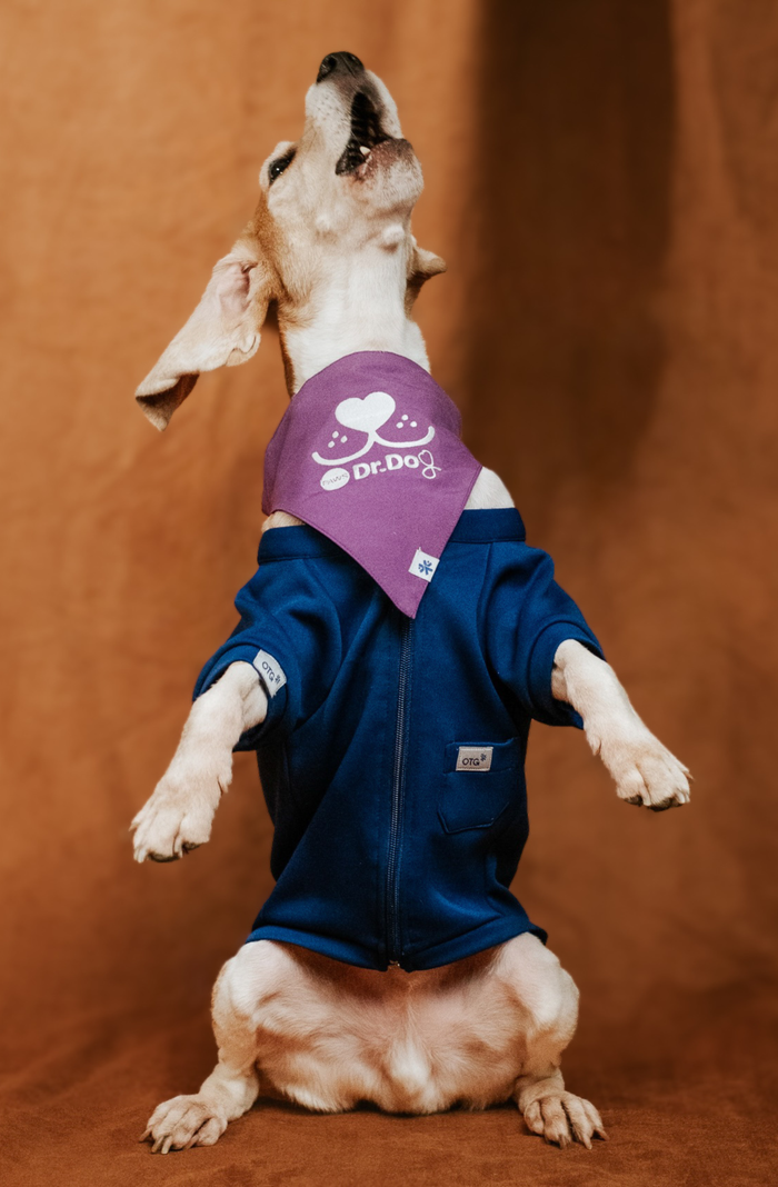 Pet scrub top