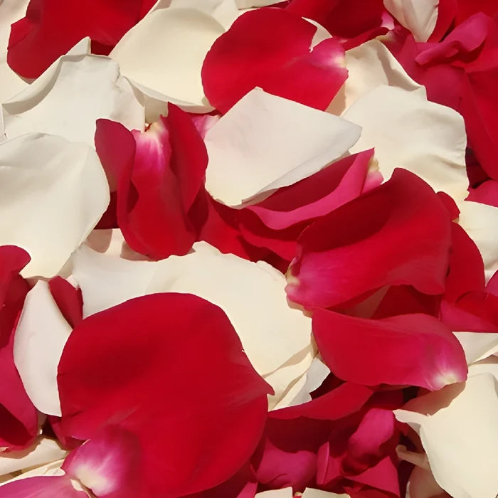 Raspberry cream fresh Rose Petal flatlay