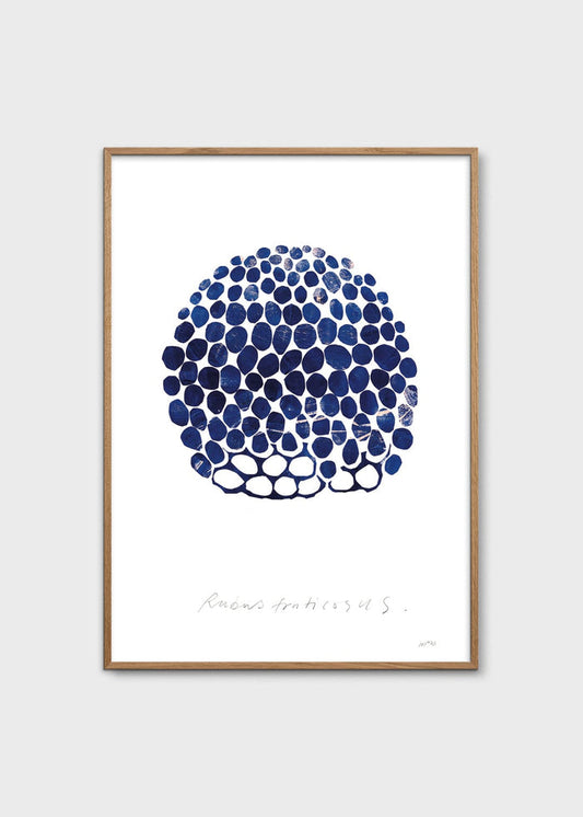 Rubus by Nygårds Maria Bengtsson