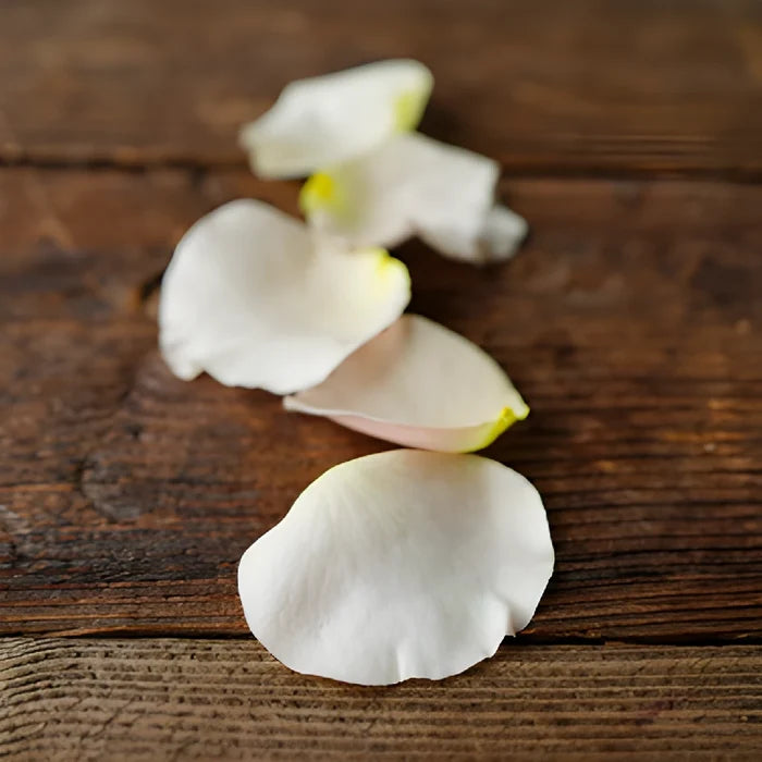 Dried Flower Petals Sandy