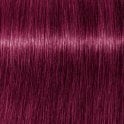 Schwarzkopf Igora Royal 60ml - 9.98