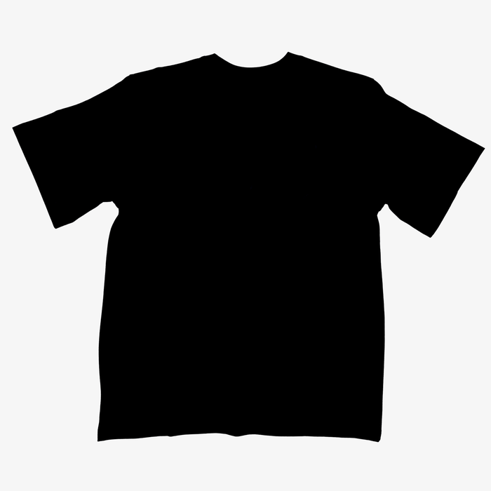 Sportiqe x BFLO Jet Black T-Shirt