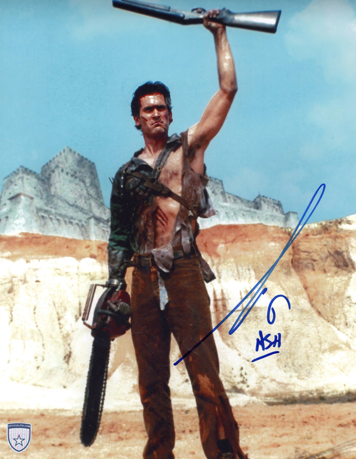 STOCK-BRUCE-CAMPBELL-001-11x14