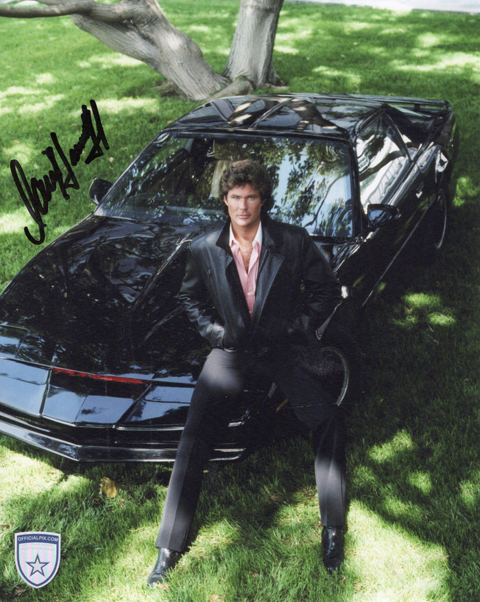 STOCK-DAVID-HASSELHOFF-001-8X10