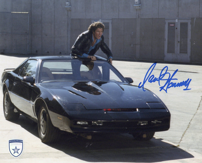 STOCK-DAVID-HASSELHOFF-002-8X10