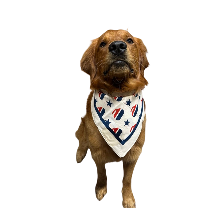 Stone & Stars Bandana