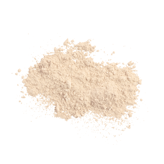 Sunforgettable® Total Protection™ Brush-On Shield SPF 50 powder || Fair
