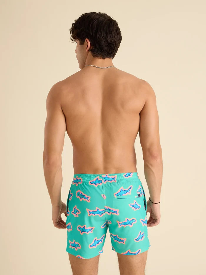 The Apex Swimmers 5.5" (Classic Swim Trunk) - Image 2 - Chubbies Shorts