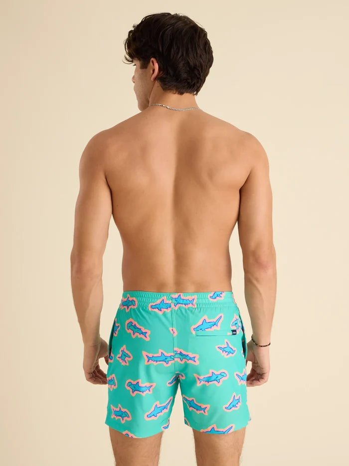 The Apex Swimmers 5.5" (Lined Classic Swim Trunk) - Image 2 - Chubbies Shorts