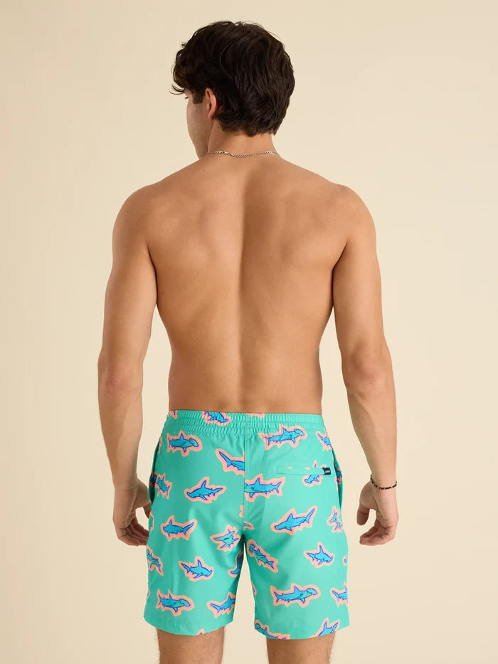 The Apex Swimmers 7" (Classic Swim Trunk) - Image 2 - Chubbies Shorts