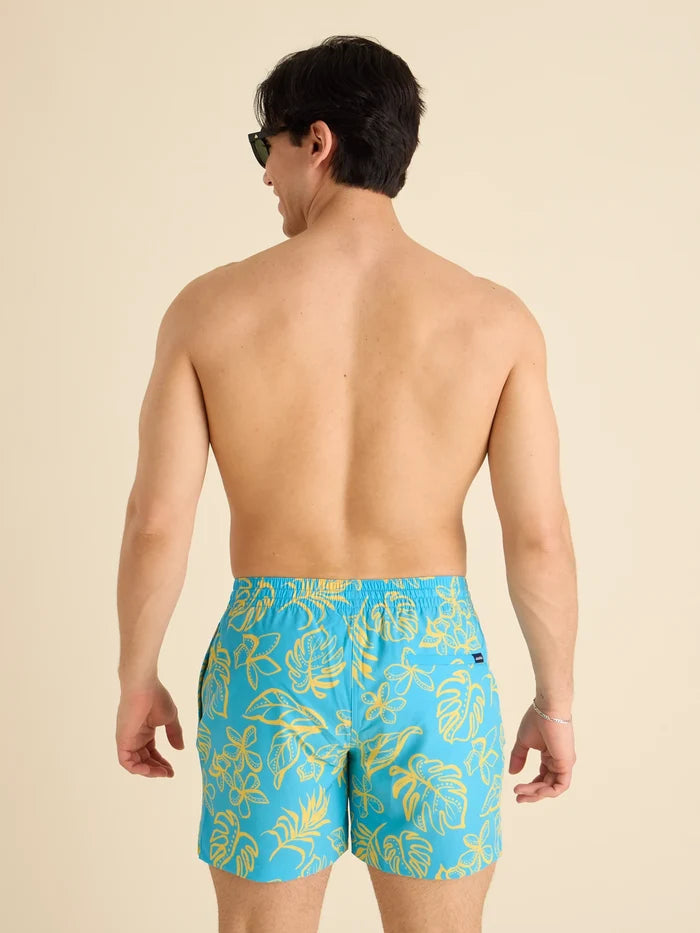 The Arboretum 5.5" (Classic Lined Swim Trunk) - Image 2 - Chubbies Shorts