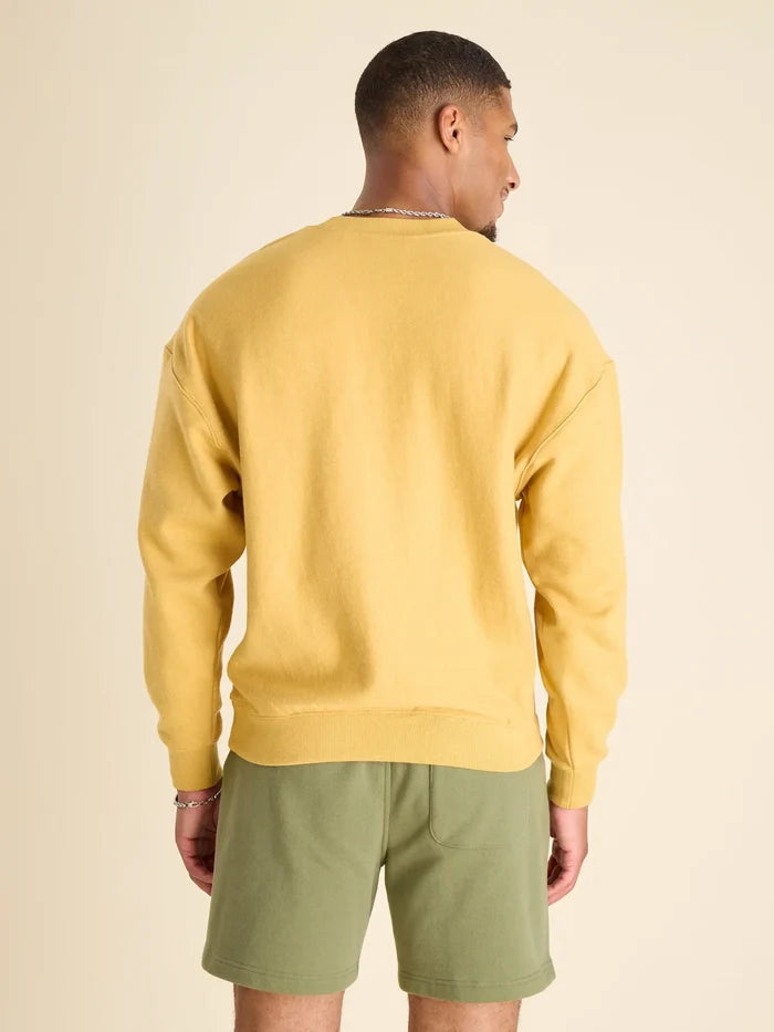 The Gold Nugget (Comfort Crew) - Image 3 - Chubbies Shorts