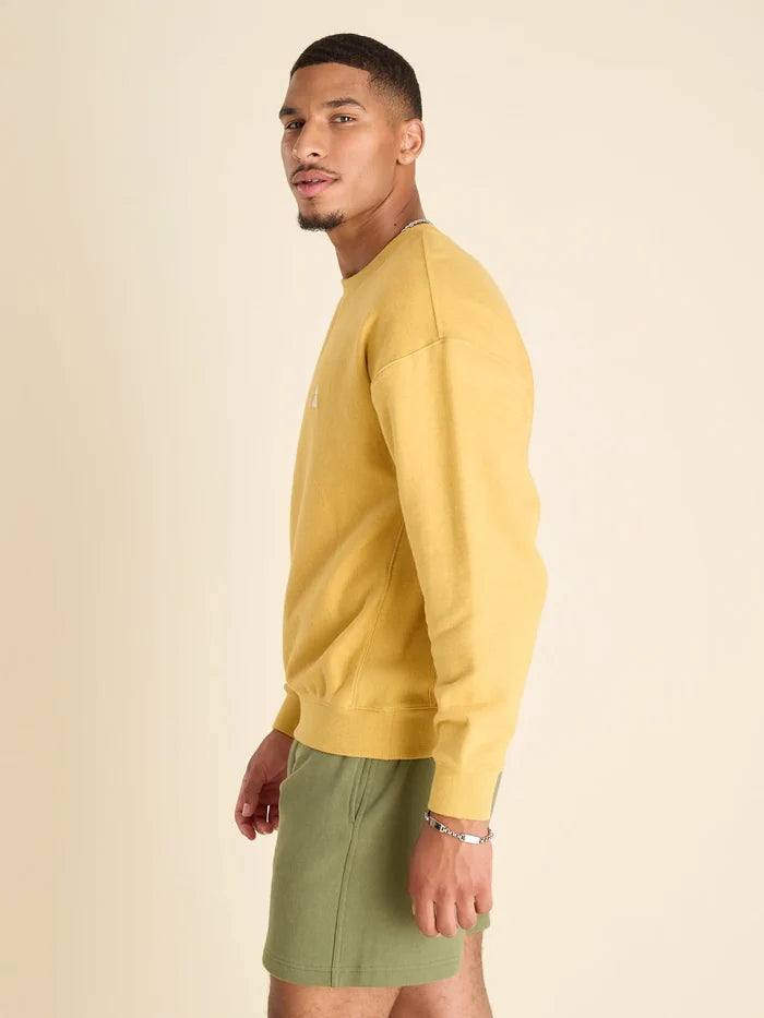 The Gold Nugget (Comfort Crew) - Image 4 - Chubbies Shorts