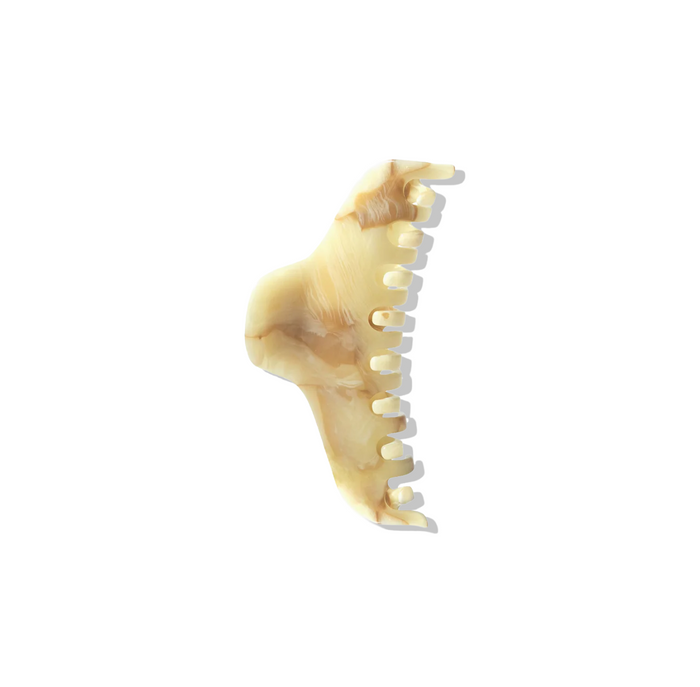 The Hair Claw nº1