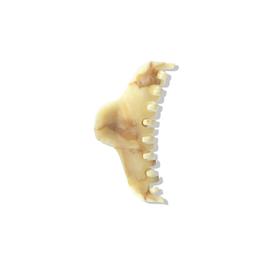 The Hair Claw nº1