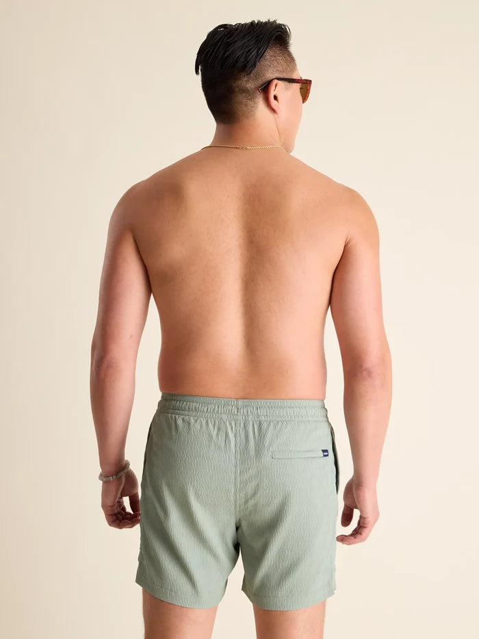 The In Fields 5.5" (Textured Lined Swim) - Image 2 - Chubbies Shorts