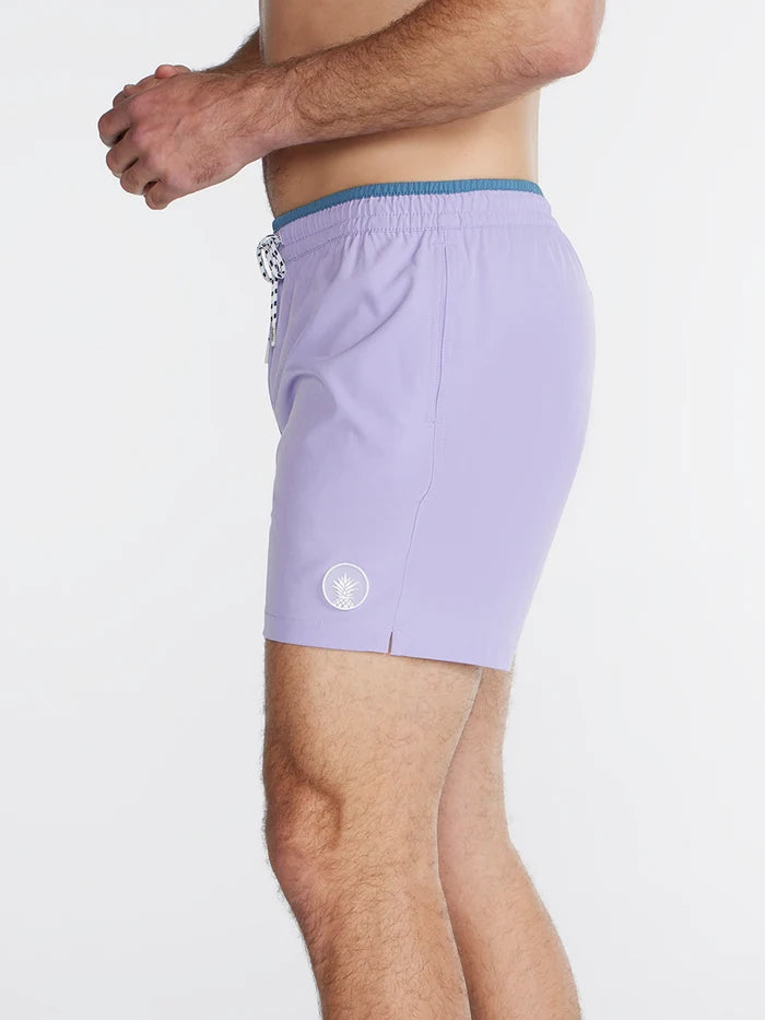 The Love-nders 5.5" (Classic Swim Trunk) - Image 3 - Chubbies Shorts