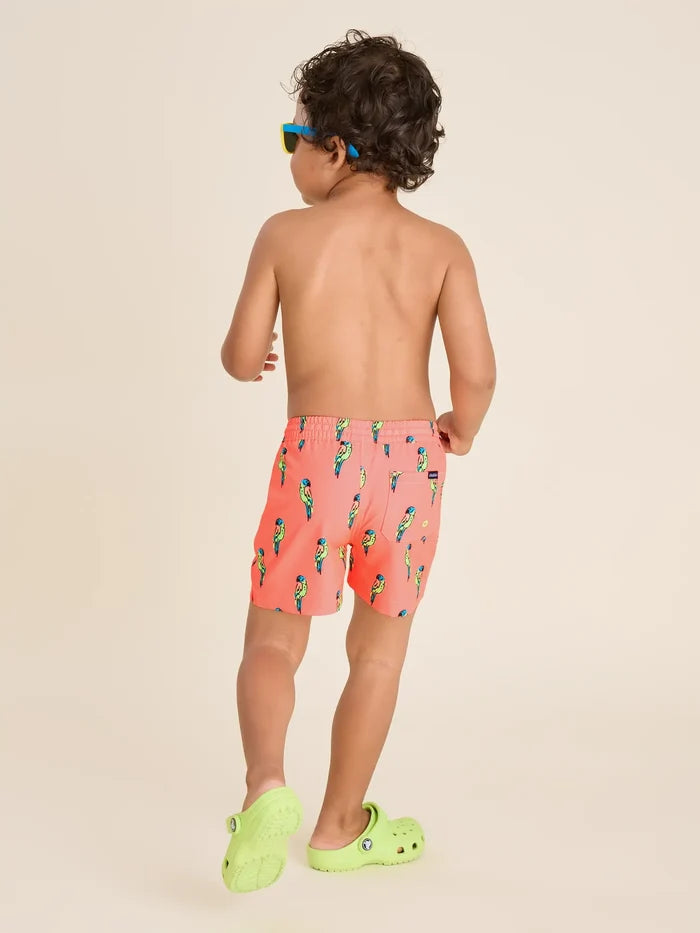The Talk Of The Tropics (Toddler Classic Swim Trunk) - Image 2 - Chubbies Shorts