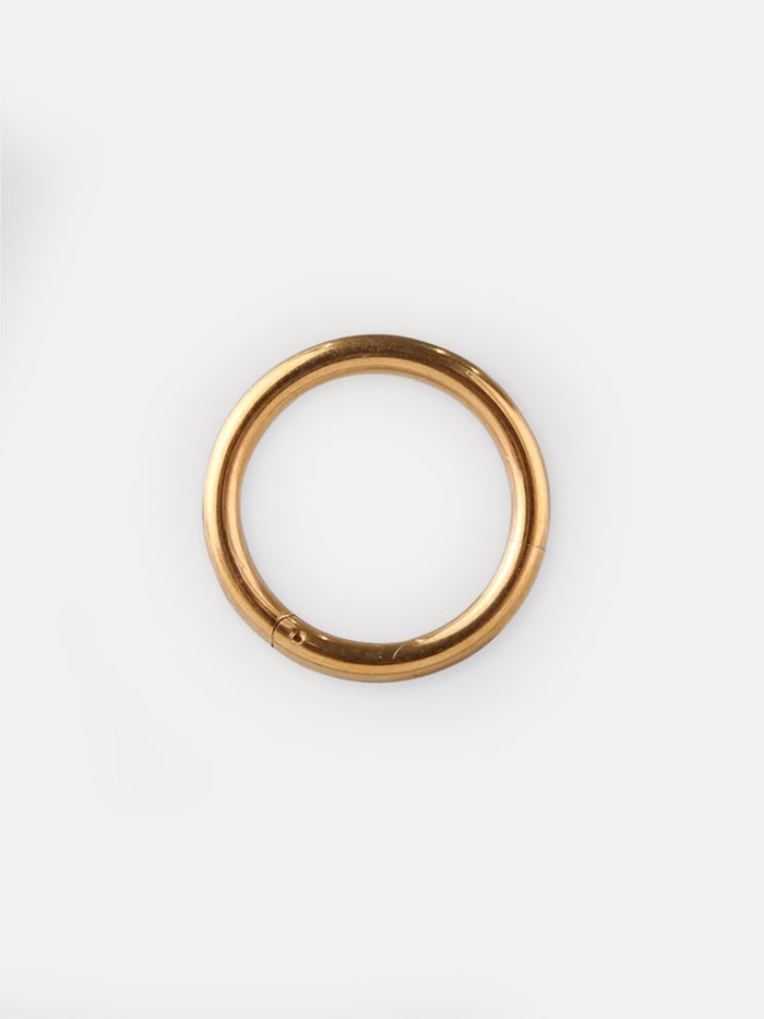 Titanium Plated Hinged Ring 14G | Gold-Image 1