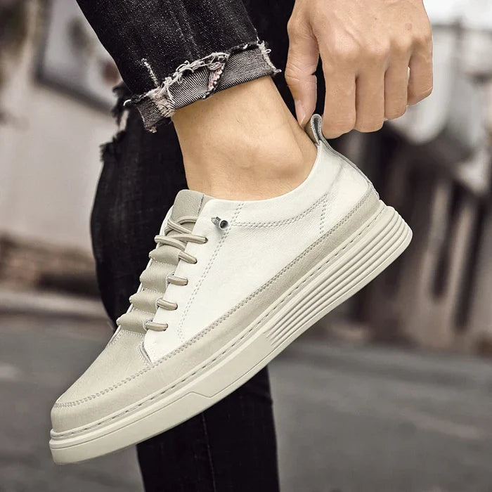 Beige / 5