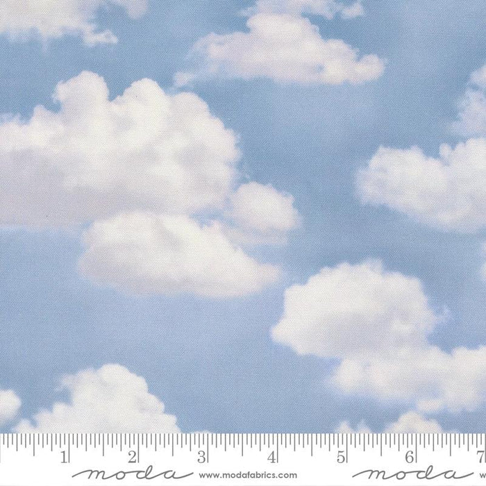 Wild Blue Yonder- Fat Quarter