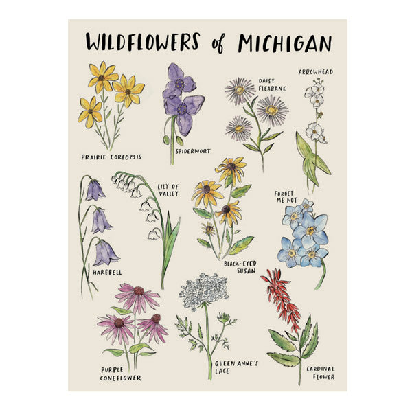 Wildflowers of Michigan Art Print - City Bird