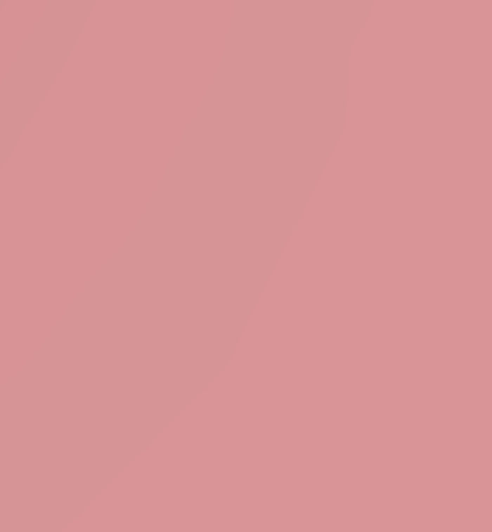 Wonderskin - Wonder Blading All-Day Lip Stain -  XOXO (Light Rose) KIT