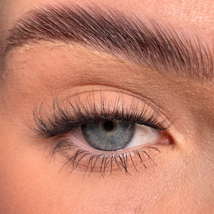 *NEW* XOXO Super Pre-Glued Party Lashes - Limited Edition - Unicorn Cosmetics