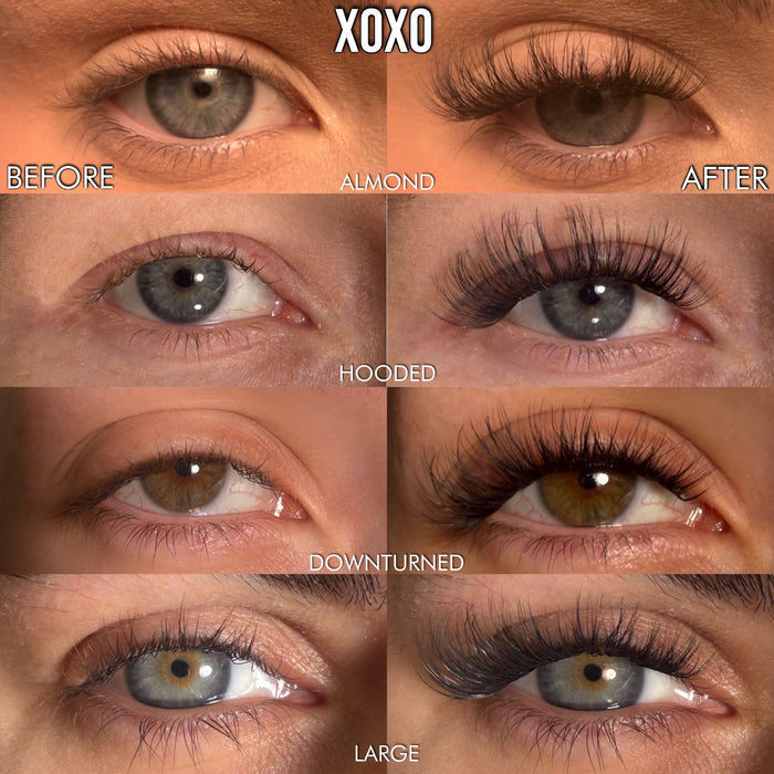 XOXO Super Pre-Glued Lash Starter Kit - Unicorn Cosmetics