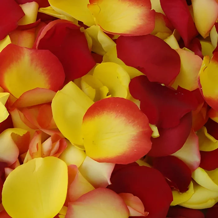 Fire Fresh Rose Petals